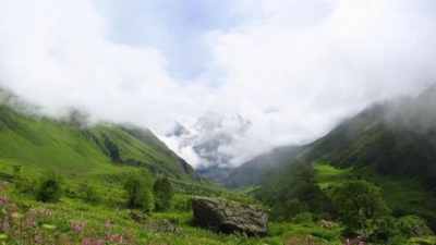 பூக்களால் நிறைந்த பள்ளத்தாக்கு