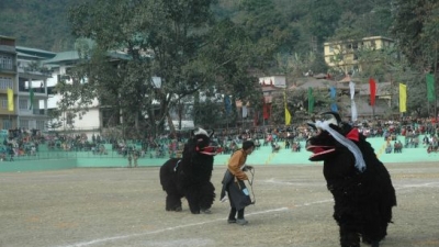 மகே மேளா