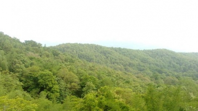 ಪಾರಂಬಿಕ್ಕುಲಮ್ ವನ್ಯಜೀವಿಧಾಮ