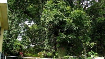 ಜೈವಿಕ ಉದ್ಯಾನವನ