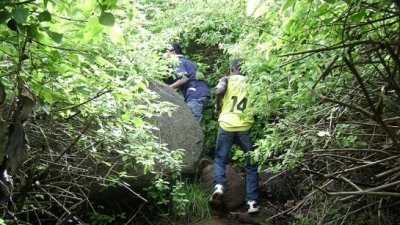 மலையேற்றம்