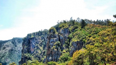 ಪಿಲ್ಲರ್ ರಾಕ್ಸ್