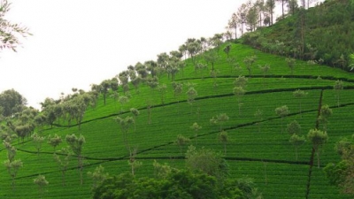 கொடநாடு வியூ பாயின்ட்