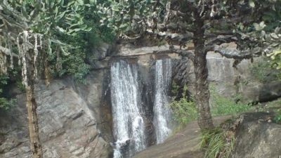 செண்பகத்தோப்பு இராட்சஸ அணில் சரணாலயம்