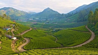 Meghamalai Hills