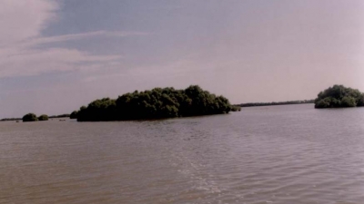 முத்துப்பேட்டை