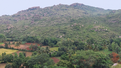 ബാലാമതി