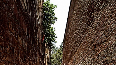 అలహాబాద్ కోట