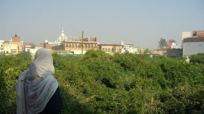 सेवा कुंज और निधुबन