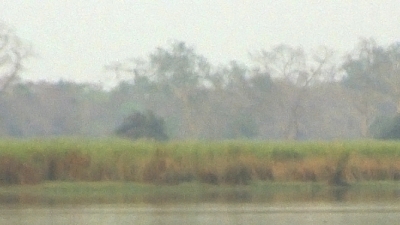 ഒറങ്ങ് നാഷണല്‍ പാര്‍ക്ക്‌