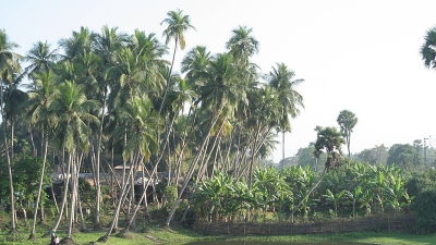 रघुराजपुर