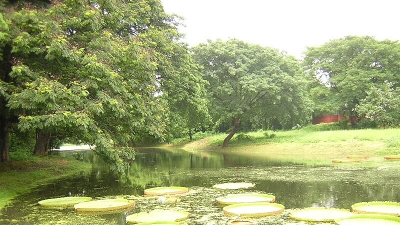 Indian Botanical Gardens