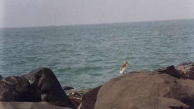 బైందూర్ బీచ్