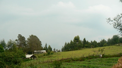 ಬೈಸನ್ ವೆಲ್ಸ್