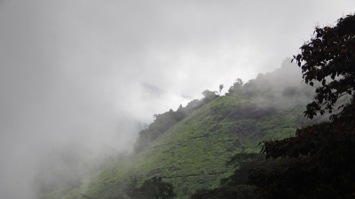 പോത്തന്‍മേട്