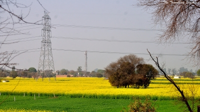 ಝಜ್ಜರ್