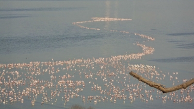 ಛರಿ ಧಂದ್ ರಕ್ಷಣಾ ಮೀಸಲು