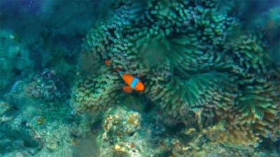 Mahatma Gandhi Marine National Park