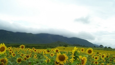Himavad Gopalaswamy Betta