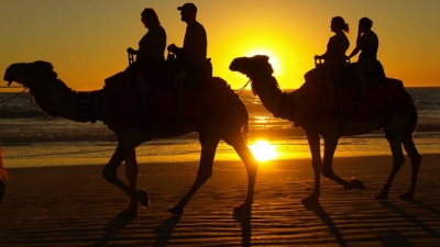 ఒంటె పై యాత్ర