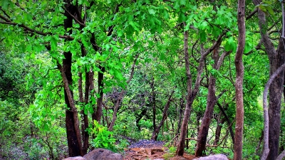 ಕರ್ನಾಲಾ