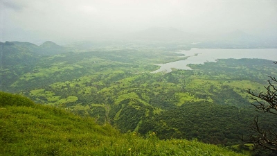 ഹാര്‍ട്ട് പോയന്റ്