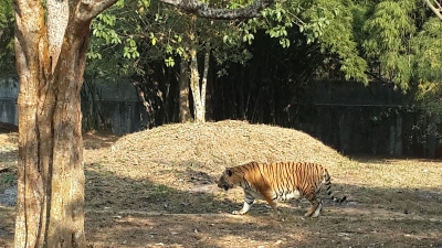 Sepahijala Wildlife Sanctuary