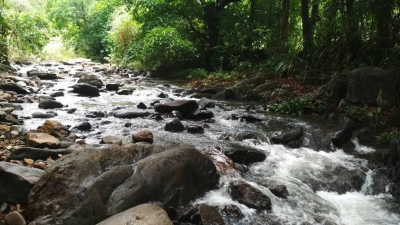 ಚೆಂಡಿಯಾ ಜಲಪಾತ