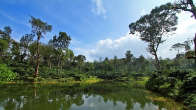 சக்லேஷ்பூர்