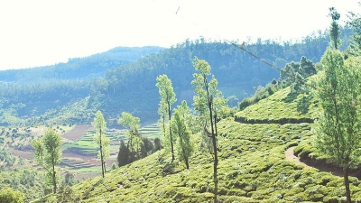 Coorg