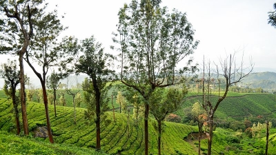 மூணார்