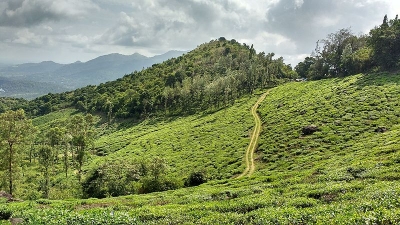 വയനാട്