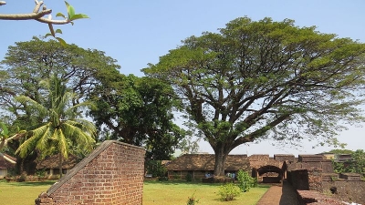 ತಲಸ್ಸೆರಿ