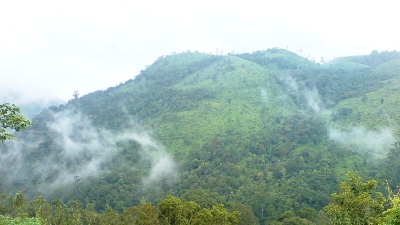 ಕುಟ್ಟಿಕ್ಕಾನಮ್​