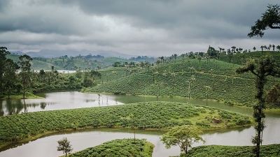 Valparai