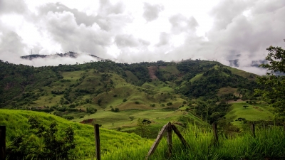 കല്‍പ്പറ്റ