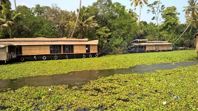 Alleppey