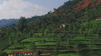 ஜான் சுல்லிவன் நினைவிடம்