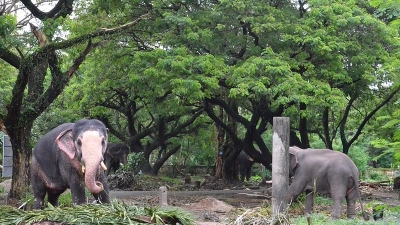 ಗುರುವಾಯೂರ್