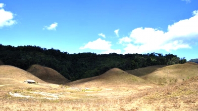 ಬ್ಯೂನಿಂಗ್(ನ್-ಪಿಉಲೊನ್ಗ್) ಹುಲ್ಲುಗಾವಲು