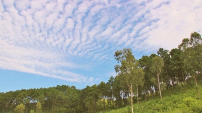 పల్లెల్