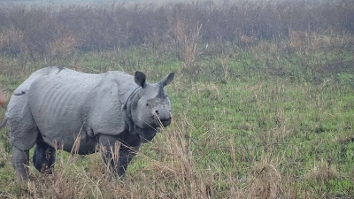 ദിയോതാല