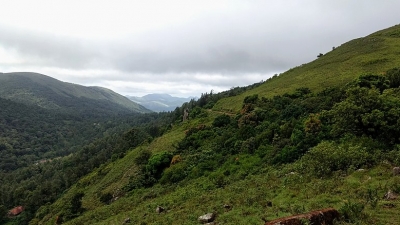 ಬಿಳಿಗಿರಿರಂಗನ ಬೆಟ್ಟ