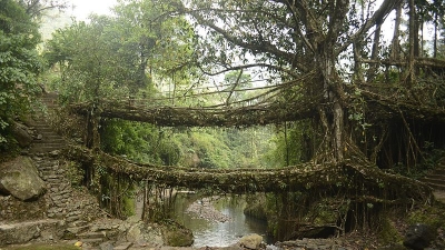 ஈஸ்ட் காசி ஹில்ஸ்