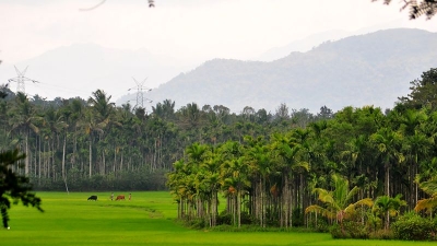 ಸುಲ್ತಾನ್ ಬಥೆರಿ