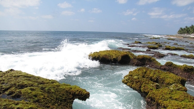 அகத்தி தீவு