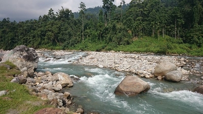 മുര്‍ടി