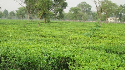 ಬಗ್ಡೋಗ್ರಾ