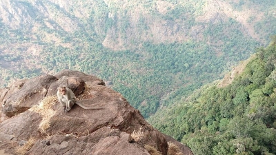 ഡോള്‍ഫിന്‍ നോസ് വ്യു പോയിന്‍റ്