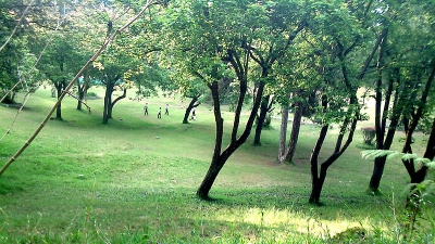 ಬ್ರೈಯಂಟ್ ಪಾರ್ಕ್